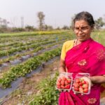 India's Organic Farming Revolution: Lessons from Global Best Practices