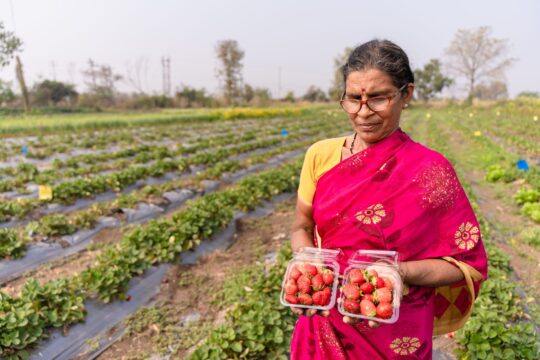 India's Organic Farming Revolution: Lessons from Global Best Practices
