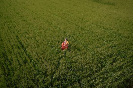 Rural Innovation: Lessons from Seattle Shooting for Indian Agriculture