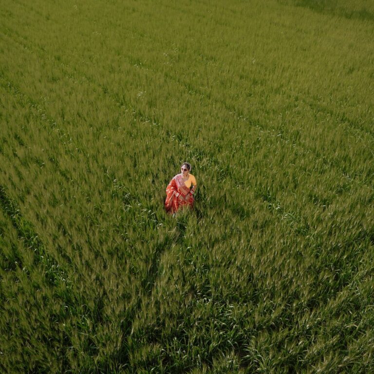 Rural Innovation: Lessons from Seattle Shooting for Indian Agriculture