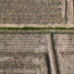 Indian Farmers Leverage Drones to Boost Crop Yields by 20%