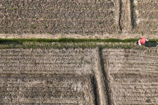 Indian Farmers Leverage Drones to Boost Crop Yields by 20%