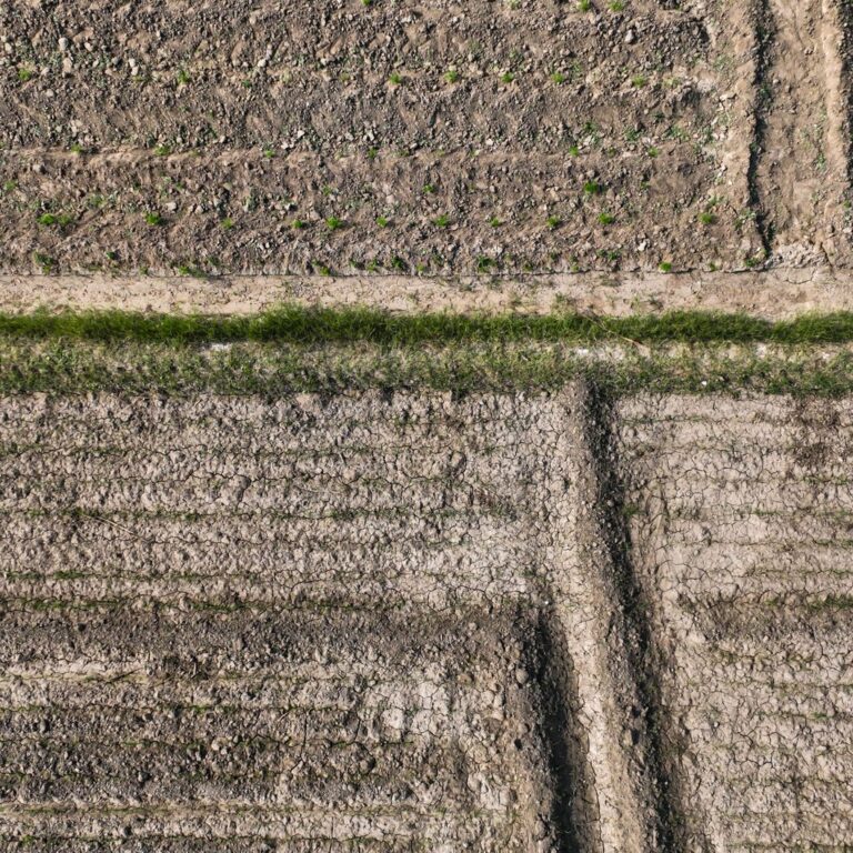 Indian Farmers Leverage Drones to Boost Crop Yields by 20%