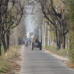 BJP's Punjab Gambit: Can Modi's Outreach Crack the State in 2027?