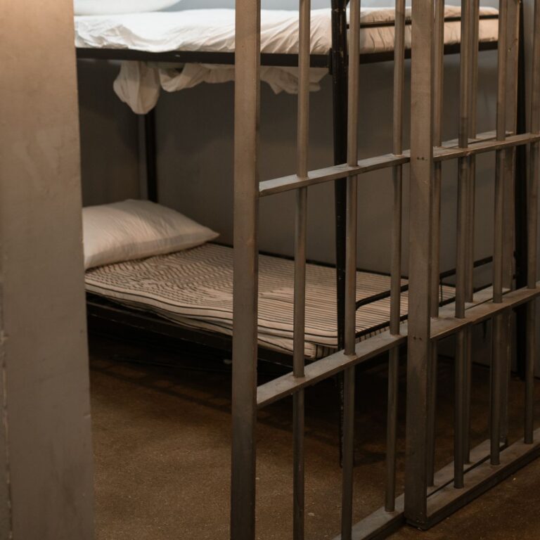 Indian prison data reveals bail disparity patterns