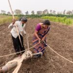 Synthetic Biology Impacts Indian Food Security