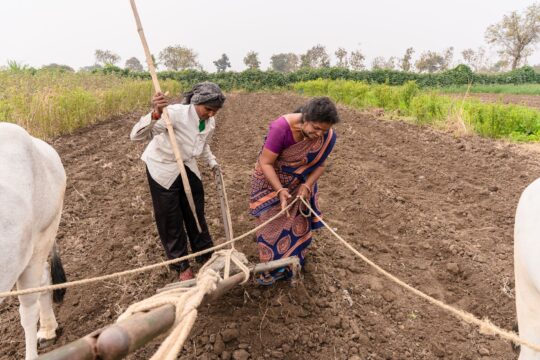 Synthetic Biology Impacts Indian Food Security