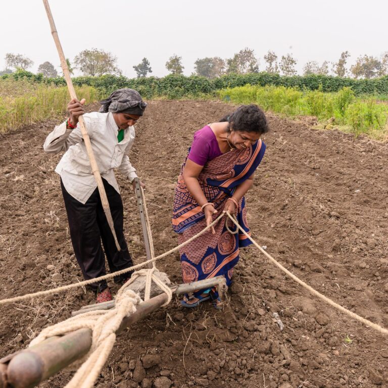 Synthetic Biology Impacts Indian Food Security