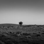 India Nuclear Journey From Pokhran One To Two